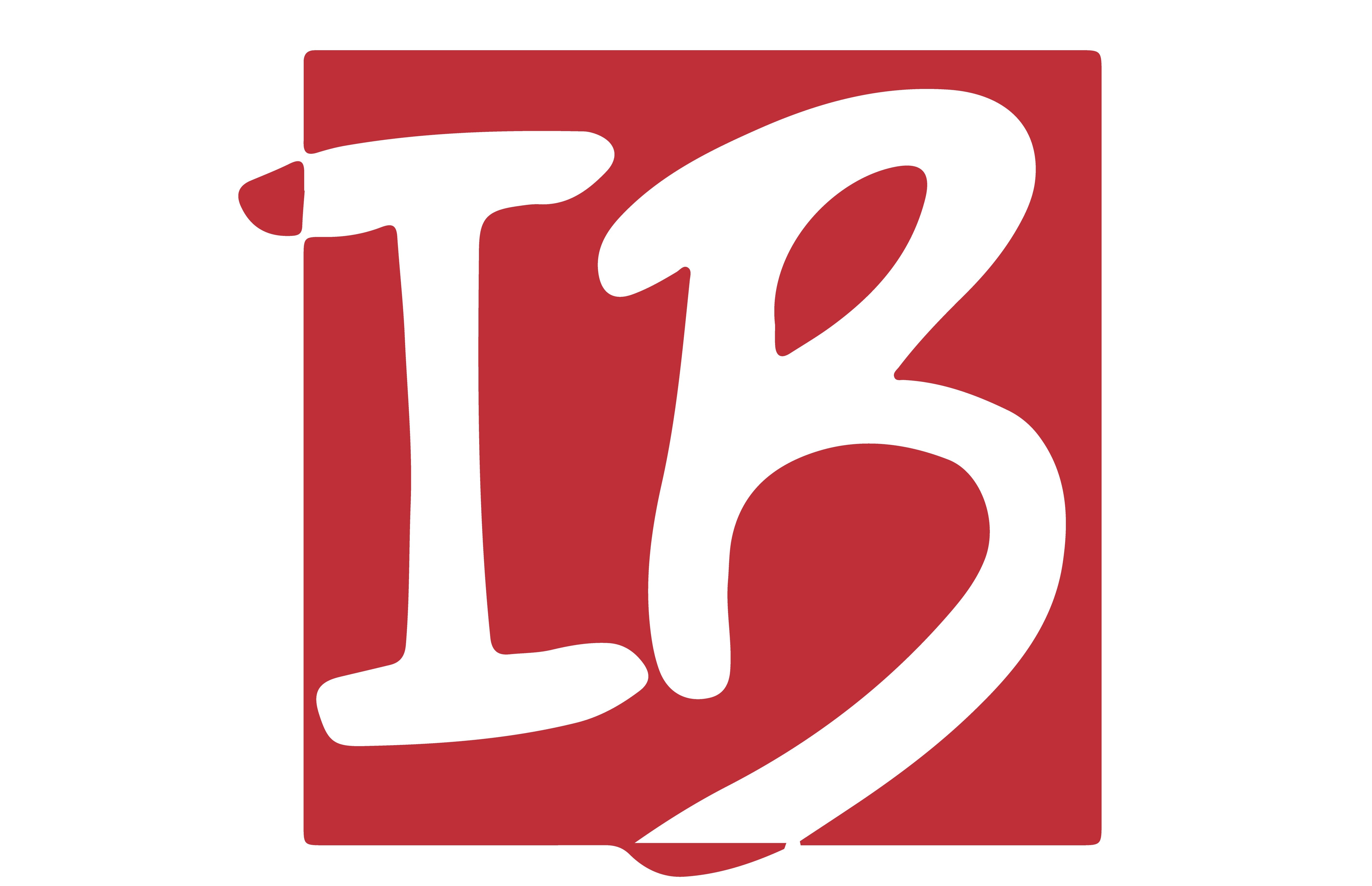 Logo IB (vectorizado)